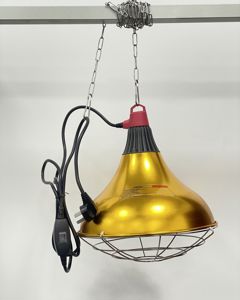 Lamp protector 3003P 304 cage, 3 holes plug 2m 304chain